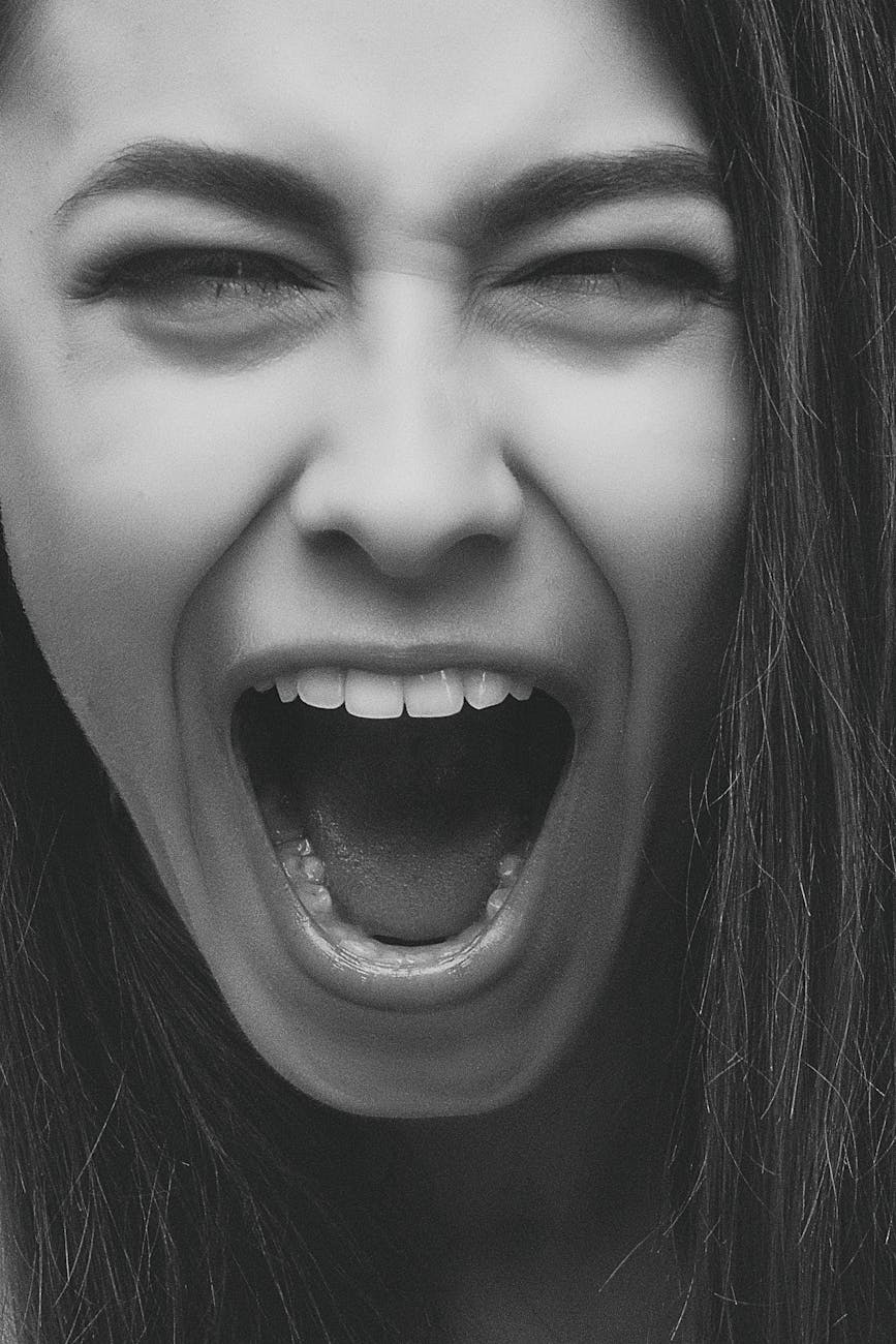 「bitch」の意味③「女・彼女」— 下品なニュアンスを含む表現